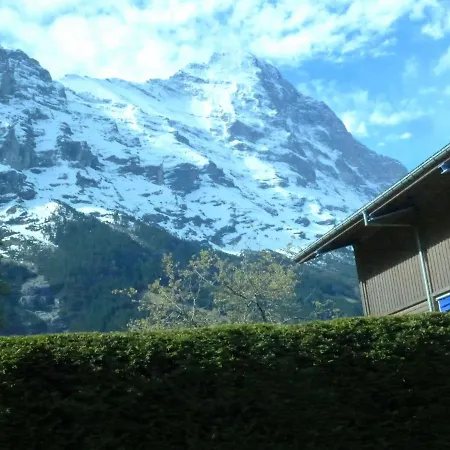 公寓 Am Reeti By Interhome 格林德瓦