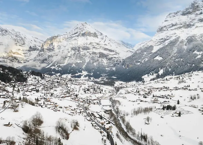 Am Reeti By Interhome * Grindelwald