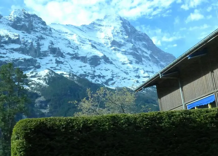 Apartment Apartment Chalet Am Reeti By Interhome Grindelwald