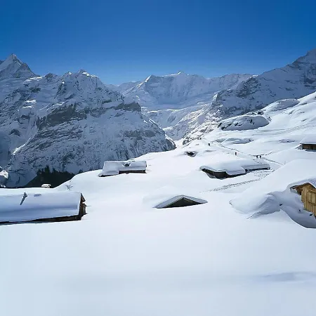 Am Reeti By Interhome Apartmán Grindelwald