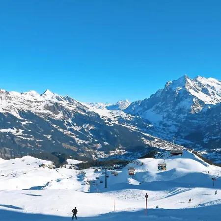 Apartmán Am Reeti By Interhome Grindelwald